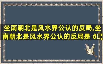 坐南朝北是风水界公认的反局,坐南朝北是风水界公认的反局是 🦉 什么意思